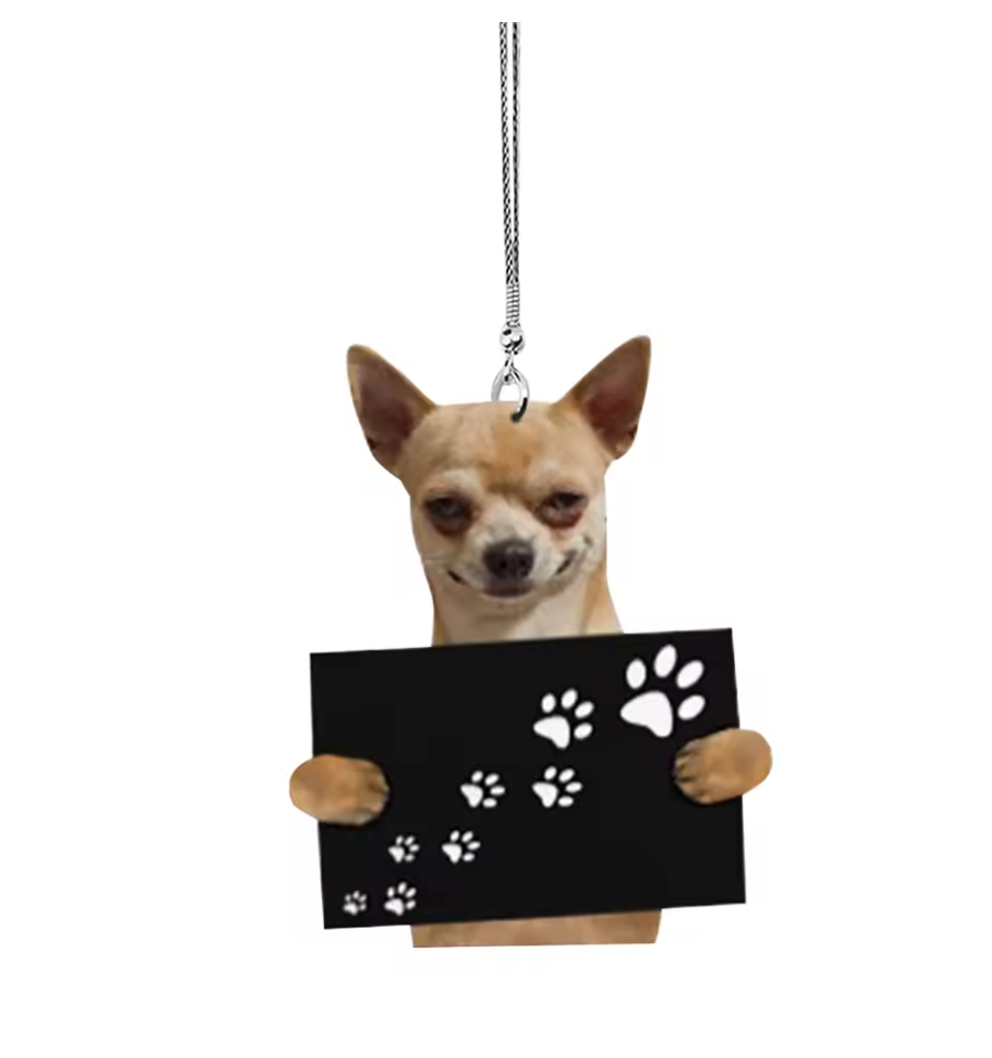 Car Pendant