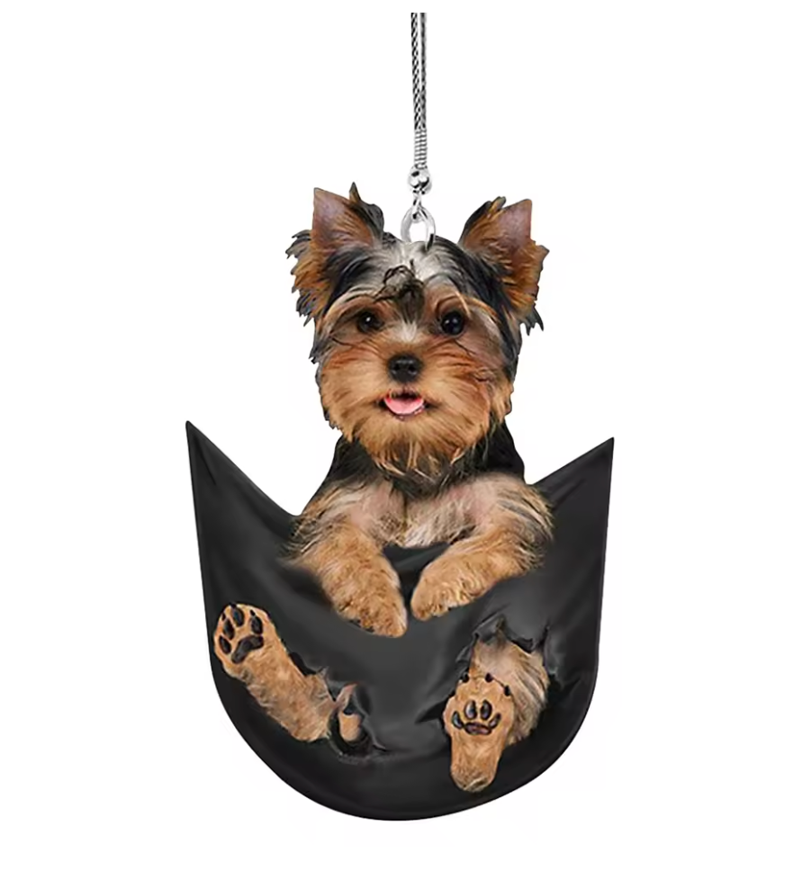 Car Pendant