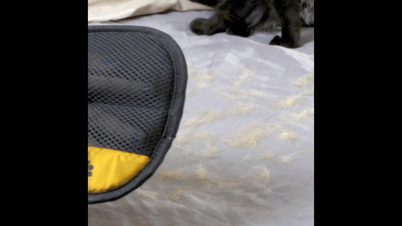 Fur Collecting Hand Mitt