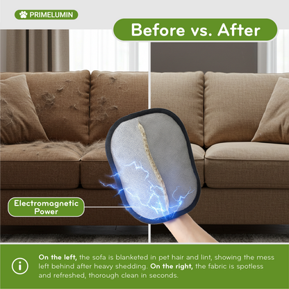 Pet Hair Removal Glove